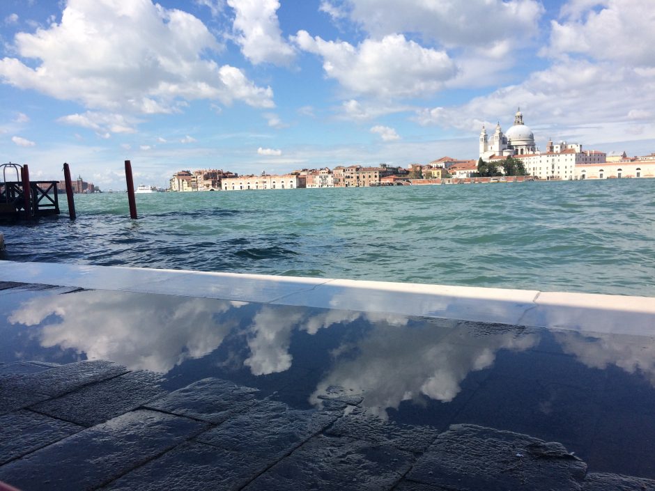 Welcome to the Truly Venice Blog