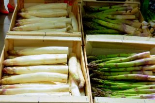 White Asparagus served with eggs