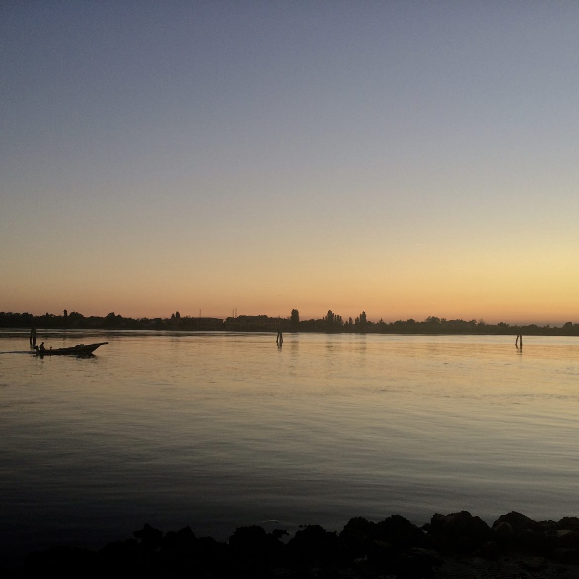 Fish in Venice's lagoon