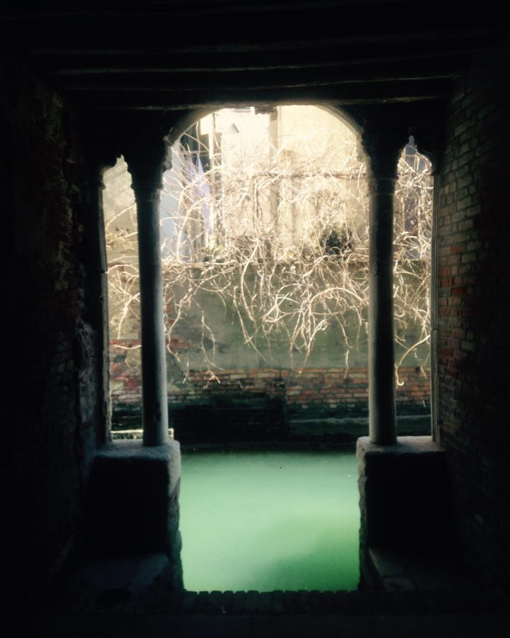 Language of Venice