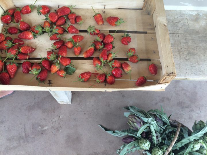 Your Summer Menu