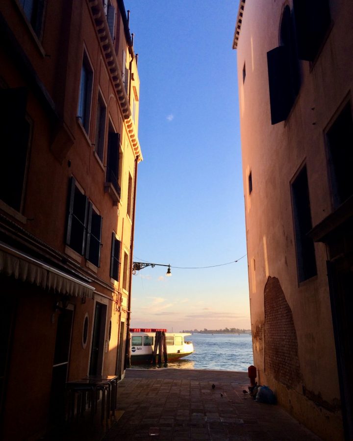 phone apps in venice