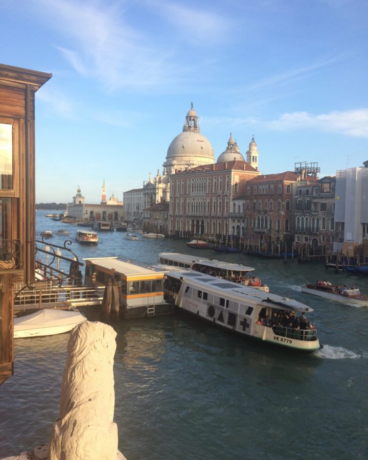 phone apps in venice