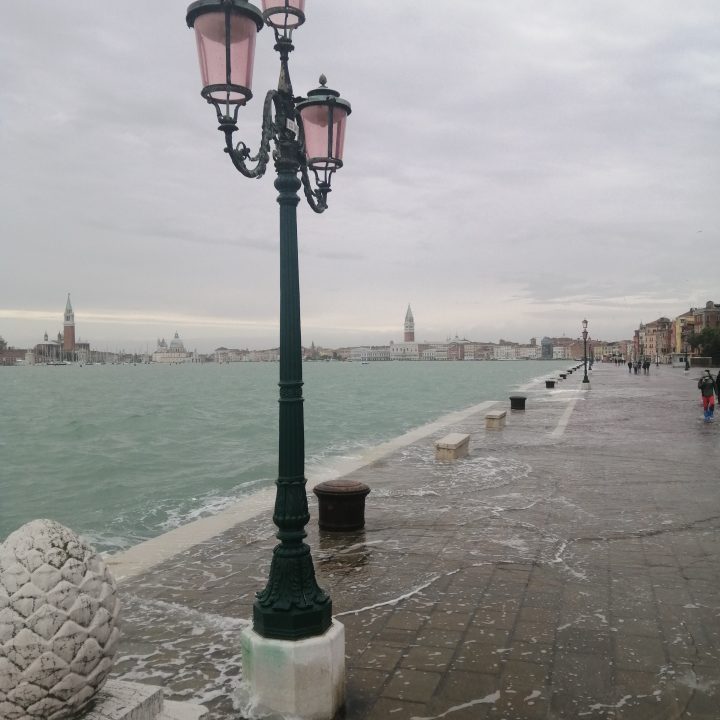 The News on Acqua Alta